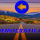 The Democratic Road